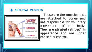 PHYSIOLOGY-IN-THE-MUSCULAR-SYSTEM-.pptx.pdf