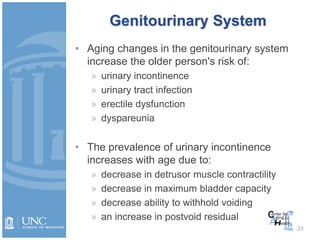 Genitourinary System
• Aging changes in the genitourinary system
increase the older person's risk of:
» urinary incontinence
» urinary tract infection
» erectile dysfunction
» dyspareunia
• The prevalence of urinary incontinence
increases with age due to:
» decrease in detrusor muscle contractility
» decrease in maximum bladder capacity
» decrease ability to withhold voiding
» an increase in postvoid residual
23
 