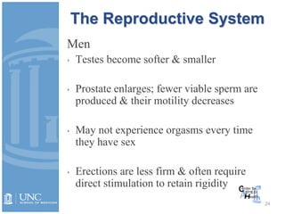 24
Men
‣ Testes become softer & smaller
‣ Prostate enlarges; fewer viable sperm are
produced & their motility decreases
‣ May not experience orgasms every time
they have sex
‣ Erections are less firm & often require
direct stimulation to retain rigidity
The Reproductive System
 