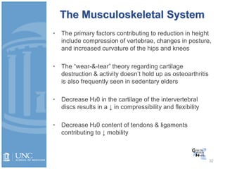 The Musculoskeletal System
• The primary factors contributing to reduction in height
include compression of vertebrae, changes in posture,
and increased curvature of the hips and knees
• The “wear-&-tear” theory regarding cartilage
destruction & activity doesn’t hold up as osteoarthritis
is also frequently seen in sedentary elders
• Decrease H20 in the cartilage of the intervertebral
discs results in a ↓ in compressibility and flexibility
• Decrease H20 content of tendons & ligaments
contributing to ↓ mobility
32
 