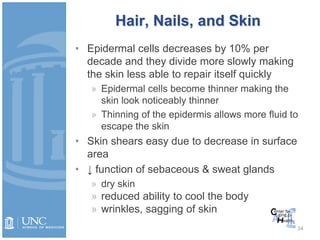 34
Hair, Nails, and Skin
• Epidermal cells decreases by 10% per
decade and they divide more slowly making
the skin less able to repair itself quickly
» Epidermal cells become thinner making the
skin look noticeably thinner
» Thinning of the epidermis allows more fluid to
escape the skin
• Skin shears easy due to decrease in surface
area
• ↓ function of sebaceous & sweat glands
» dry skin
» reduced ability to cool the body
» wrinkles, sagging of skin
 