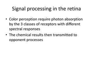 Physiology of colour vision | PPTX