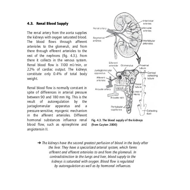 anatomical phenomena definition anatomical phenomena definition