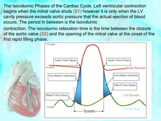 The Isovolumic Phases of the Cardiac Cycle. Left ventricular contraction
begins when the mitral valve shuts (S1) however it is only when the LV
cavity pressure exceeds aortic pressure that the actual ejection of blood
occurs. The period in between is the isovolumic
contraction. The isovolumic relaxation time is the time between the closure
of the aortic valve (S2) and the opening of the mitral valve at the onset of the
first rapid filling phase.
 