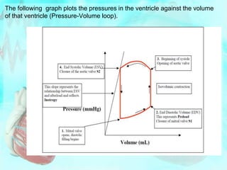 The following graph plots the pressures in the ventricle against the volume
of that ventricle (Pressure-Volume loop).
 