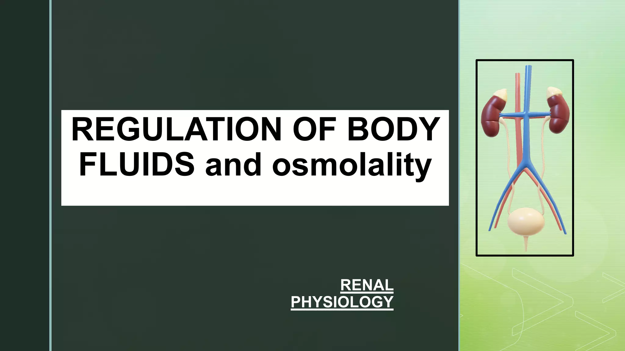 Physiology regulation of body fluids and osmolality (renal) PPT