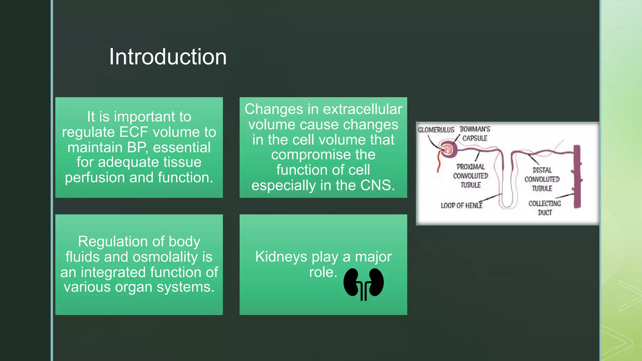 Physiology regulation of body fluids and osmolality (renal) PPT