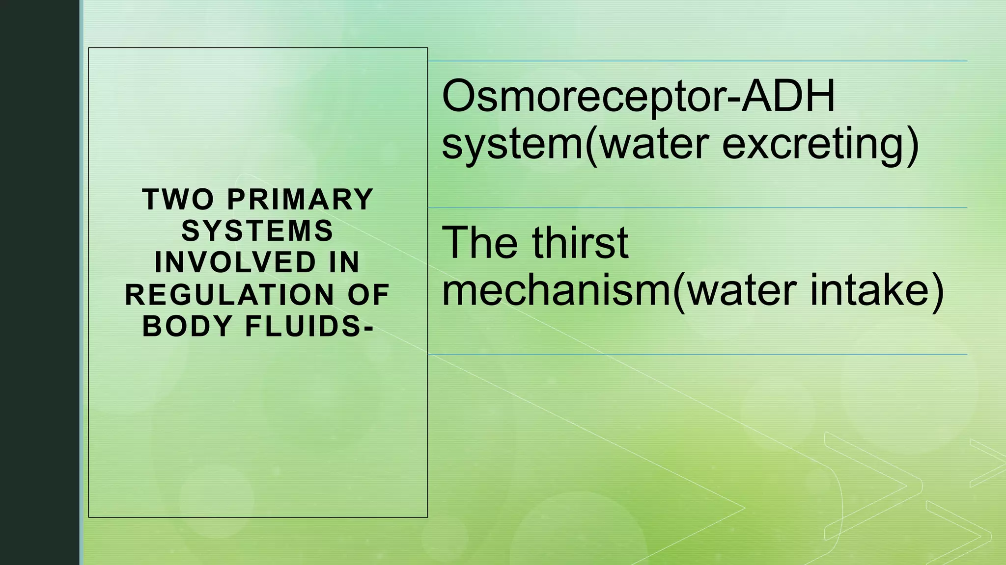 Physiology regulation of body fluids and osmolality (renal) PPT