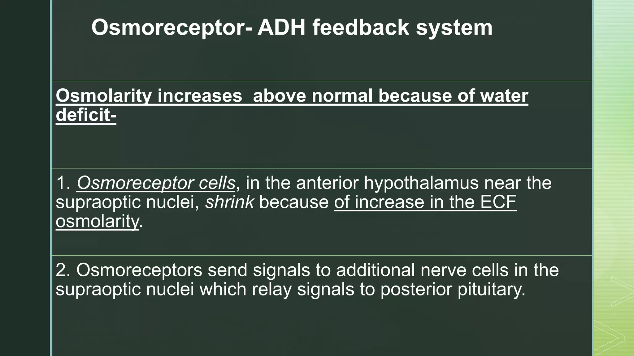 Osmoreceptor- ADH feedback system
Osmolarity increases above normal because of water
deficit-
1. Osmoreceptor cells, in the anterior hypothalamus near the
supraoptic nuclei, shrink because of increase in the ECF
osmolarity.
2. Osmoreceptors send signals to additional nerve cells in the
supraoptic nuclei which relay signals to posterior pituitary.
 