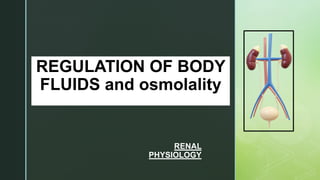 z
REGULATION OF BODY
FLUIDS and osmolality
RENAL
PHYSIOLOGY
 