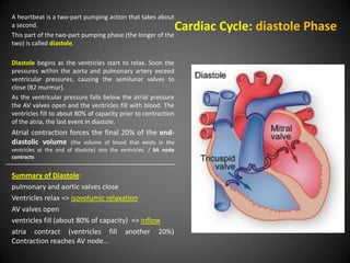 A heartbeat is a two-part pumping action that takes about
a second.                                                           Cardiac Cycle: diastole Phase
This part of the two-part pumping phase (the longer of the
two) is called diastole.

Diastole begins as the ventricles start to relax. Soon the
pressures within the aorta and pulmonary artery exceed
ventricular pressures, causing the semilunar valves to
close (B2 murmur).
As the ventricular pressure falls below the atrial pressure
the AV valves open and the ventricles fill with blood. The
ventricles fill to about 80% of capacity prior to contraction
of the atria, the last event in diastole.
Atrial contraction forces the final 20% of the end-
diastolic volume (the volume of blood that exists in the
ventricles at the end of diastole) into the ventricles. / SA node
contracts


Summary of Diastole:
pulmonary and aortic valves close
Ventricles relax => isovolumic relaxation
AV valves open
ventricles fill (about 80% of capacity) => inflow
atria contract (ventricles fill another 20%)
Contraction reaches AV node…
 
