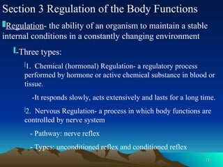 13
13
Section 3 Regulation of the Body Functions
Regulation- the ability of an organism to maintain a stable
internal conditions in a constantly changing environment
-Three types:
1. Chemical (hormonal) Regulation- a regulatory process
performed by hormone or active chemical substance in blood or
tissue.
-It responds slowly, acts extensively and lasts for a long time.
2. Nervous Regulation- a process in which body functions are
controlled by nerve system
- Pathway: nerve reflex
- Types: unconditioned reflex and conditioned reflex
 
