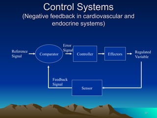 17
17
Control Systems
Control Systems
(Negative feedback in cardiovascular and
(Negative feedback in cardiovascular and
endocrine systems)
endocrine systems)
Reference
Signal
Comparator Controller Effectors
Regulated
Variable
Sensor
Feedback
Signal
Error
Signal
 