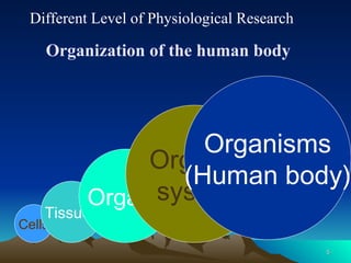 5
5
Organization of the human body
Cells
Tissues
Organs
Organ
systems
Organisms
(Human body)
Different Level of Physiological Research
 