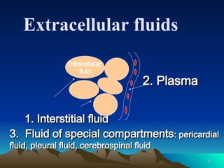 9
9
Extracellular fluids
Intracellular
fluid
2. Plasma
2. Plasma
1. Interstitial fluid
1. Interstitial fluid
3. Fluid of special compartments
3. Fluid of special compartments: pericardial
: pericardial
fluid, pleural fluid, cerebrospinal fluid
fluid, pleural fluid, cerebrospinal fluid
 