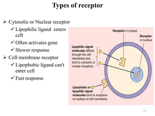 15
Types of receptor
15
 Cytosolic or Nuclear receptor
 Lipophilic ligand enters
cell
 Often activates gene
 Slower response
 Cell membrane receptor
 Lipophobic ligand can't
enter cell
 Fast response
 