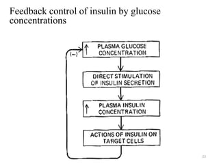 23
Feedback control of insulin by glucose
concentrations
 