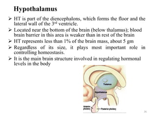26
Hypothalamus
 HT is part of the diencephalons, which forms the floor and the
lateral wall of the 3rd ventricle.
 Located near the bottom of the brain (below thalamus); blood
brain barrier in this area is weaker than in rest of the brain
 HT represents less than 1% of the brain mass, about 5 gm
 Regardless of its size, it plays most important role in
controlling homeostasis.
 It is the main brain structure involved in regulating hormonal
levels in the body
 