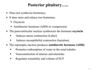 Posterior pituitary…..
 Does not synthesize hormones,
 It does store and release two hormones.
 Oxytocin
 Antidiuretic hormone (ADH) or vasoperssion
 The paraventricular nucleus synthesizes the hormone oxytocin
 Induces uterus contraction (Labor)
 Induces myoepithelial contraction (lactation)
 The supraoptic nucleus produces antidiuretic hormone (ADH)
 Promotes reabsorption of water in the renal tubules
 Vasoconstriction of arteries and arterioles
 Regulates osmolality and volume of ECF
31
 