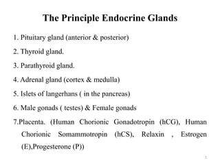 5
1. Pituitary gland (anterior & posterior)
2. Thyroid gland.
3. Parathyroid gland.
4. Adrenal gland (cortex & medulla)
5. Islets of langerhans ( in the pancreas)
6. Male gonads ( testes) & Female gonads
7.Placenta. (Human Chorionic Gonadotropin (hCG), Human
Chorionic Somammotropin (hCS), Relaxin , Estrogen
(E),Progesterone (P))
The Principle Endocrine Glands
 