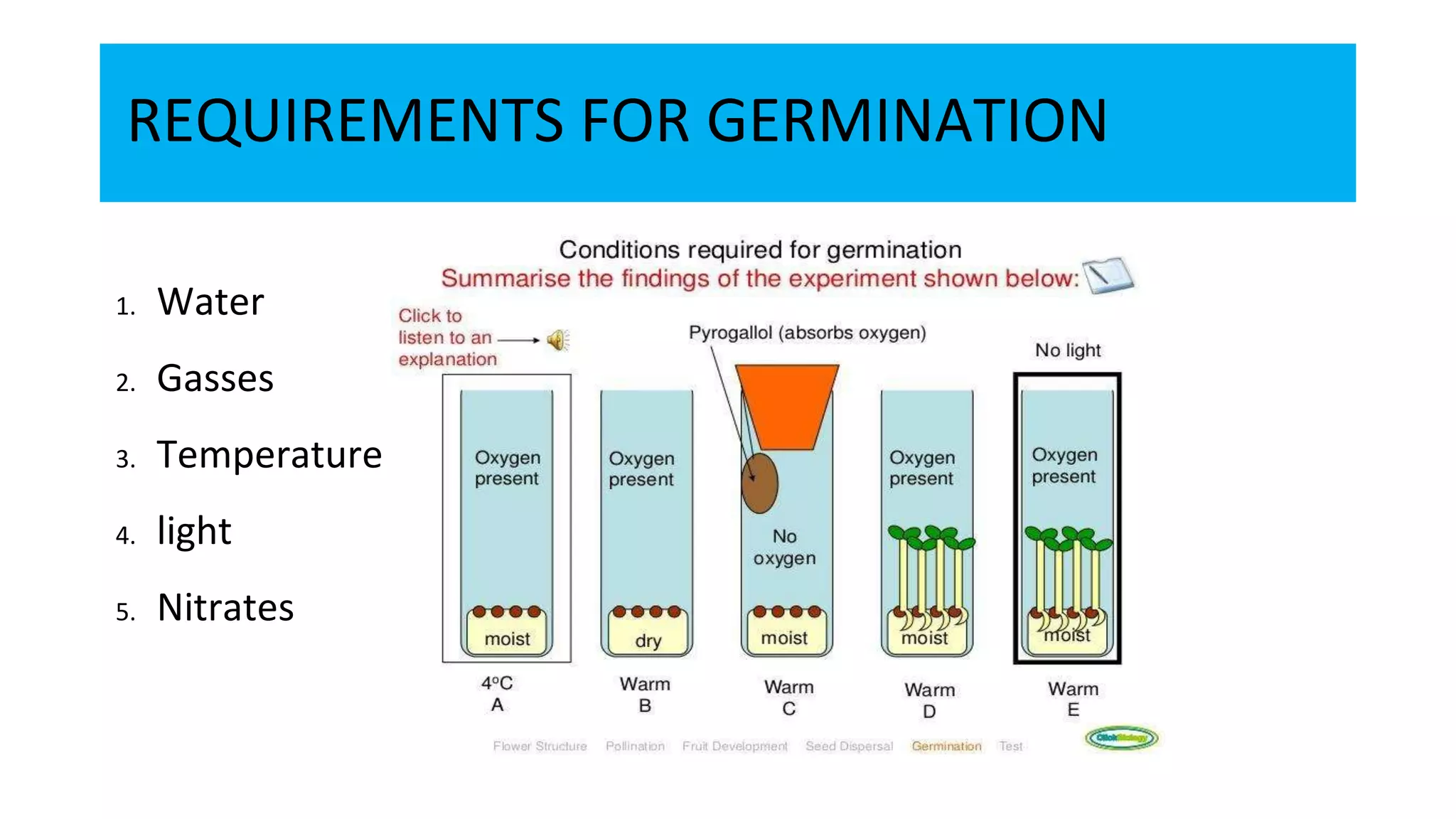 PHYSIOLOGY AND BIOCHEMISTRY OF SEED GERMINATION.pptx