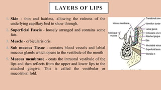 Comprehensive Study on the Physiology and Chemistry of Lips for Herbal ...