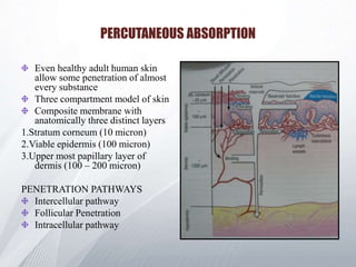 Physiology and functions of Skin | PPTX