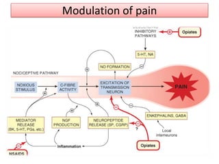 Physiology and pharmacology of pain | PPTX