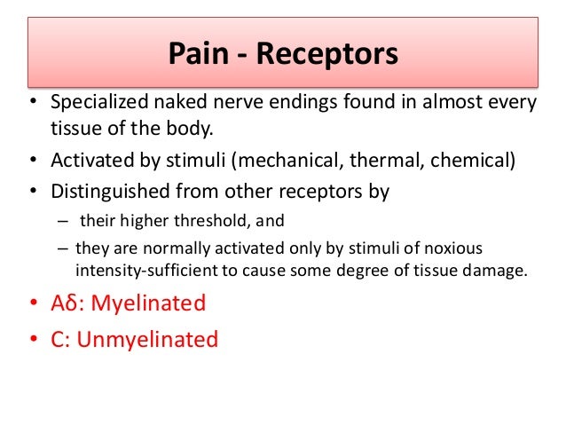 Physiology And Pharmacology Of Pain