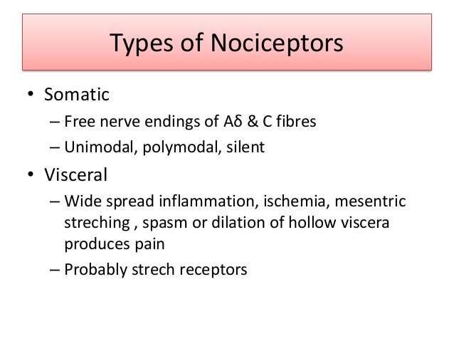 Physiology And Pharmacology Of Pain