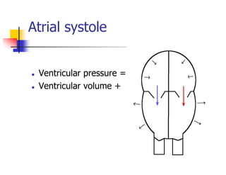 Atrial systole
Ventricular pressure =
Ventricular volume +
 
