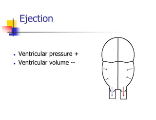 Ejection
Ventricular pressure +
Ventricular volume --
 