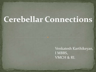 Cerebellar Connections
Venkatesh Karthikeyan,
I MBBS,
VMCH & RI.
 