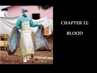 CHAPTER 12: BLOOD 
