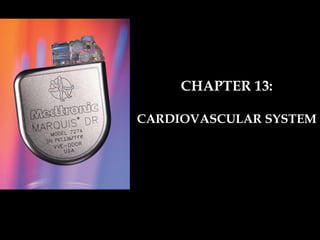 CHAPTER 13: CARDIOVASCULAR SYSTEM 