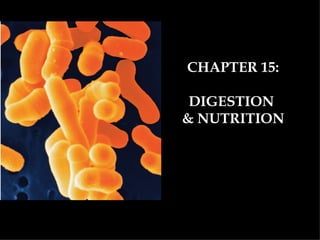 CHAPTER 15:

 DIGESTION
& NUTRITION
 