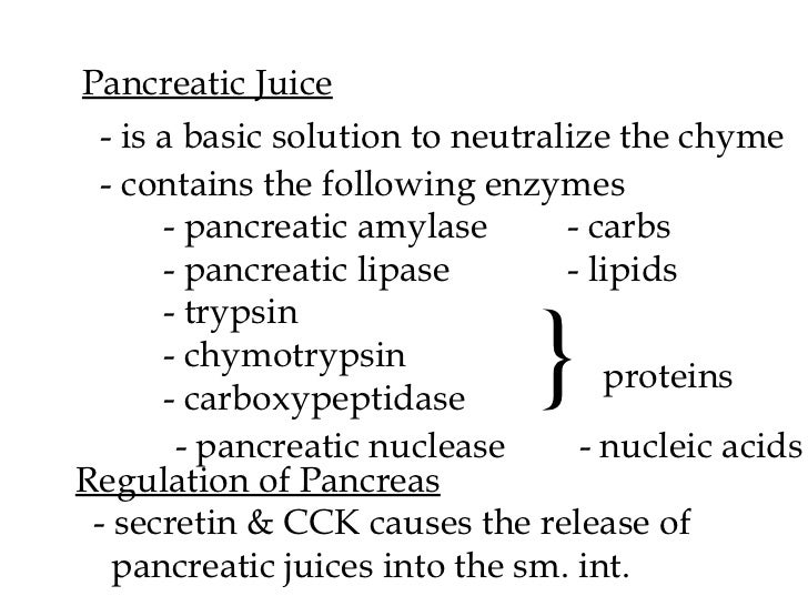 Physiology CH 15 lecture notes