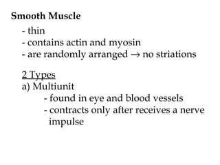 Smooth Muscle - thin - contains actin and myosin - are randomly arranged    no striations 2 Types a) Multiunit - found in eye and blood vessels - contracts only after receives a nerve   impulse 