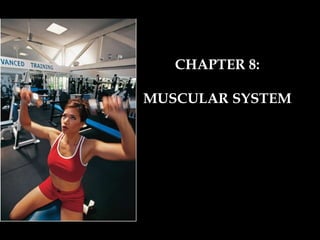 CHAPTER 8: MUSCULAR SYSTEM 