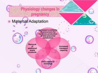  Maternal Adaptation
Increased availibility
of precursors for
hormone production
& fetal-placental
metabolism
Increased
transport
capacity
Fetal-maternal
exchange
Removal
of
additional
waste
products
 