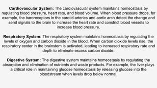 physiology chap 1 Functional Organization of the Human Body.pptx