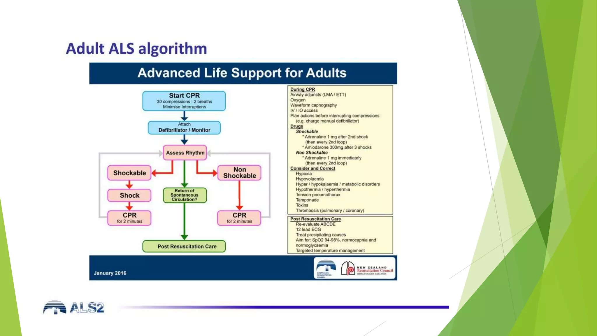 Physiology Directed CPR | PPTX | First Aid | Injuries