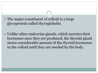  The major constituent of colloid is a large
glycoprotein called thyroglobulin.
 Unlike other endocrine glands, which se...
