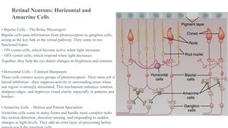 Physiology eye rods and cobes(Garima.9b).pptx