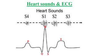 Heart sounds & ECG
P
Q S
R
T
 