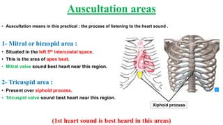 • Auscultation means in this practical : the process of listening to the heart sound .
1- Mitral or bicuspid area :
• Situated in the left 5th intercostal space.
• This is the area of apex beat.
• Mitral valve sound best heart near this region.
2- Tricuspid area :
• Present over xiphoid process.
• Tricuspid valve sound best heart near this region.
(1st heart sound is best heard in this areas)
Auscultation areas
Xiphoid process
 
