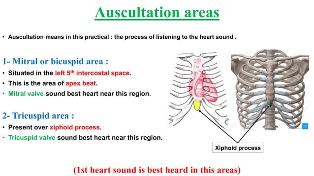 Physiology (heart sounds) Biology Diagrams
