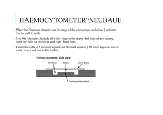 Microscope Omit physiology lab 333.ppt 2.pdf how to count red cells | PDF