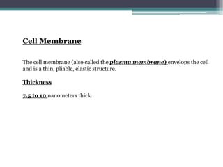 Cell Membrane
The cell membrane (also called the plasma membrane) envelops the cell
and is a thin, pliable, elastic structure.
Thickness
7.5 to 10 nanometers thick.
 