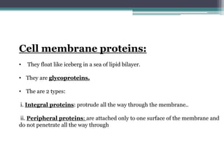 Cell membrane proteins:
• They float like iceberg in a sea of lipid bilayer.
• They are glycoproteins.
• The are 2 types:
i. Integral proteins: protrude all the way through the membrane..
ii. Peripheral proteins: are attached only to one surface of the membrane and
do not penetrate all the way through
 